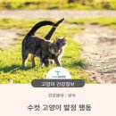 청학동물병원 이미지