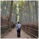 학성중학교 | 2025년 회고록 (그대들은 평안하신지요)