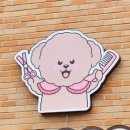 와다다 펫 그루밍 이미지