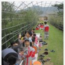 강남큰빛유치원 이미지