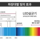제디 이미지