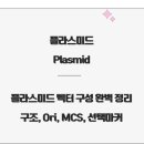 플라스미드(PLASMID)