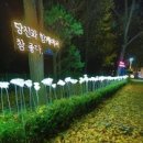 대공원나들길 이미지