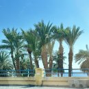 요르단 여행 : 아카바 스노쿨링 Berenice Beach Club, 인도커리