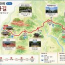 불갑저수지 천변주차장 | 폭염 끝, 이제 걸어볼까…9월에 꼭 걸어야 할 가을길 4곳