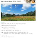 가평-북면 간 자전거도로 | 가평 자라섬 서울 근교 가족 나들이 하기 좋은 피크닉 명소, 돗자리 후기