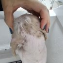 냥이멍이세상 이미지