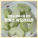 예스 팜 | 팜예스 아오리사과 : 새콤달콤 여름사과 초록 사과, 문경에서 온 맛있는 사과 추천