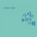 푸름 이미지