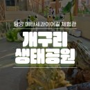 호암공원생태전시관 | 담양 아이랑 가볼만한곳, 메타세콰이어길 개구리생태공원 개구리생태관, 개구리 전시관 관람후기