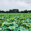 로터스커피앤베이커리 이미지