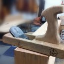 여행하는 나무 이미지