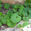 만복경로당 이미지