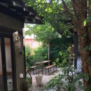 모가 | 대구 대봉동 카페 오가닉모가 organicmoga | 계절별 방문 후기