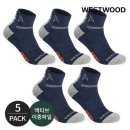 웨스트우드 이미지