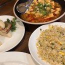 바오하우스 이미지