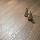 한동화성 이미지