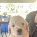 곰띠돈띠 이미지