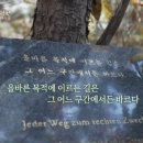 여백과뜰