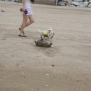 해랑방2 이미지