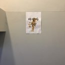 프린트카페안 이미지