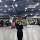 메이져 | 청주 오송 메이져복싱 gx 체험 후기