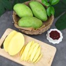 망고그린 이미지