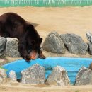 달성공원 이미지