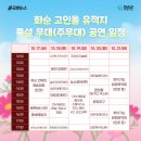 석기사랑 | [화순] 화순 고인돌 가을꽃축제 후기: 실사화 공룡·구석기 체험까지