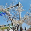 안산천남로 이미지