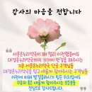 온누리정도약국 이미지