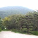 오두목장 이미지