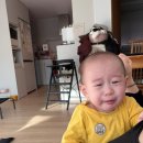 아포어린이집 | 모음 56