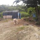 서동농장 이미지