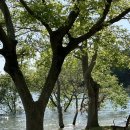 블루 | [나주] 나주호 호수뷰 카페 내돈내산 후기_블루리버