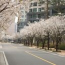 래미안(단지내)수공인중개사사무소 이미지