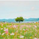 경산종합관광안내소 이미지