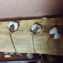 백락산방 이미지