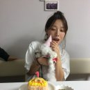 봉식농장 네이버블로그
