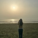 송암로 | 1박2일 태안 여행 태안 가볼만한곳 세계튤립축제