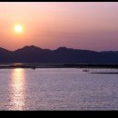 석양 속 생명의 날 이미지