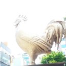 춘천소양강닭갈비 이미지