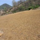 덕산면049 이미지