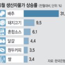 SK한화 합동 공인중개사사무소 | 25. 7. 23.(수)주요 헤드라인 뉴스