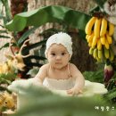 다나스튜디오