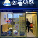 와플대학경희궁자이캠퍼스