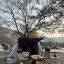 세븐일레븐(밀양표충사점) 네이버블로그