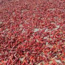 태순농장 이미지