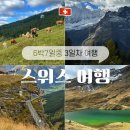 종점할인마트 | 스위스 6박 7일 여행 일정 3일차, 그린델발트 피르스트 액티비티와 하이킹