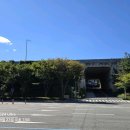 성남대로 이미지